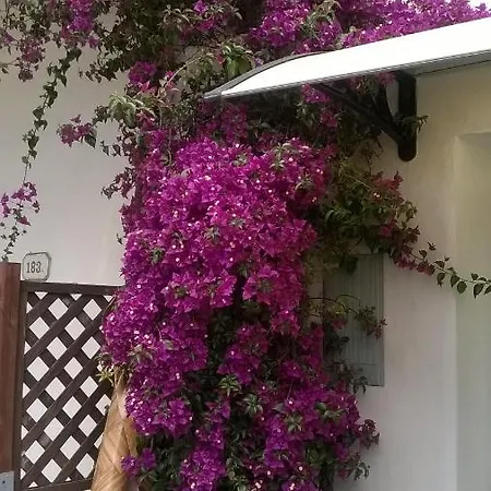 Holiday home Rainbow House With Garden